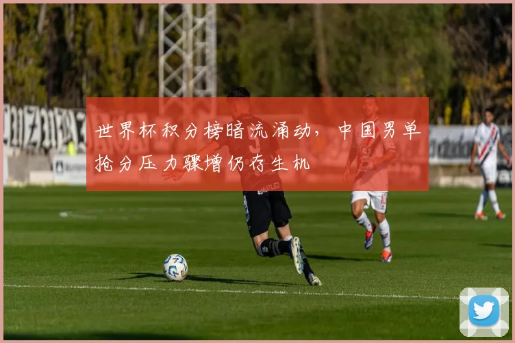 世界杯积分榜暗流涌动,中国男单抢分压力骤增仍存生机