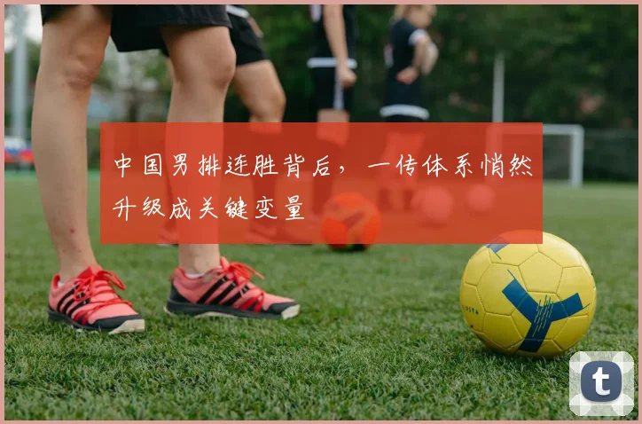 中国男排连胜背后,一传体系悄然升级成关键变量