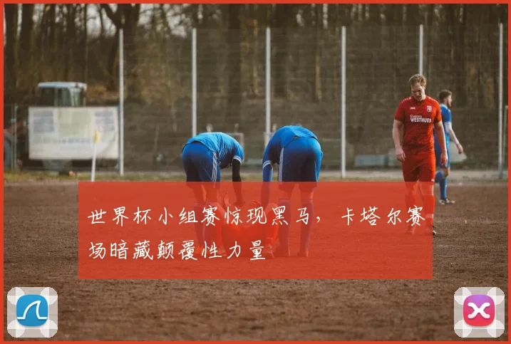 世界杯小组赛惊现黑马,卡塔尔赛场暗藏颠覆性力量