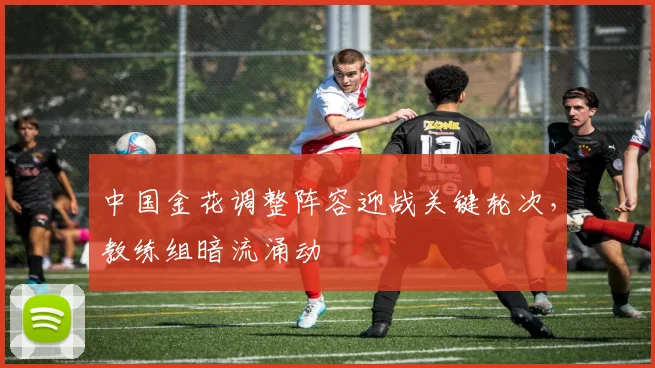 中国金花调整阵容迎战关键轮次,教练组暗流涌动