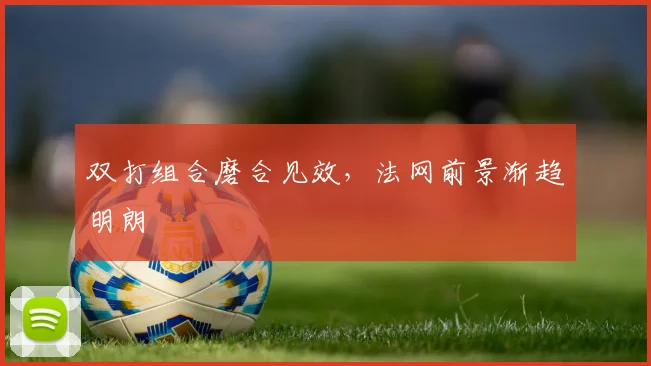 双打组合磨合见效，法网前景渐趋明朗 - 搜狐体育