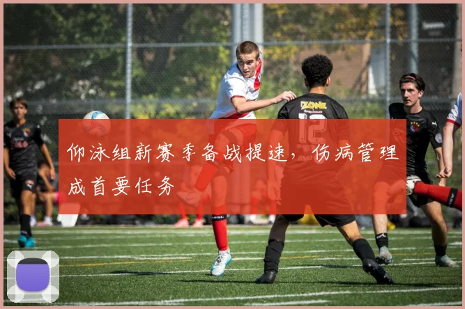 仰泳组新赛季备战提速,伤病管理成首要任务