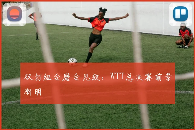 双打组合磨合见效，WTT总决赛前景渐明 - 搜狐体育